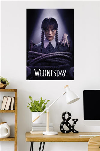 Chargez l&#39;image dans la visionneuse de la galerie, Trends International Wednesday 2 2025 - Torture One Sheet Poster Wall Poster
