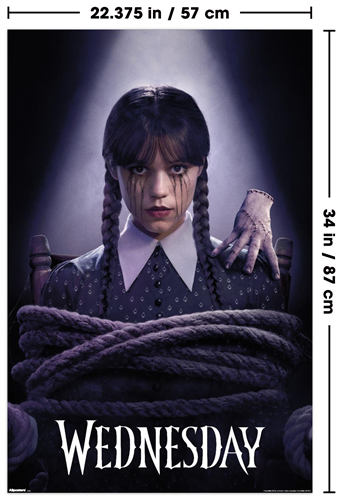 Trends International Wednesday 2 2025 - Torture One Sheet Poster Wall Poster