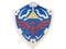 The Legend of Zelda - Breath of the Wild Hylian Shield Pillow