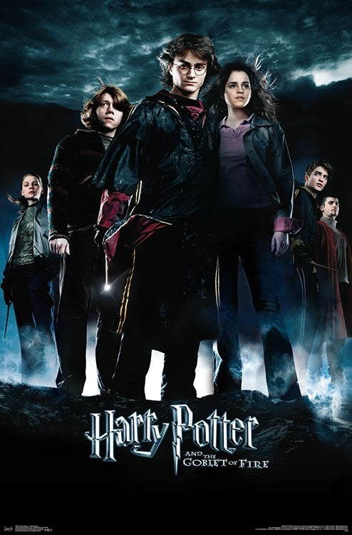 Harry Potter - Goblet Group Wall Poster - Kryptonite Character Store