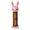 Anime Bleach Soul Candy