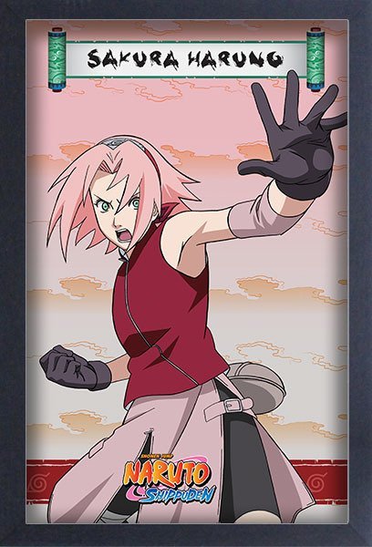 Naruto: Shippuden - Sakura 11