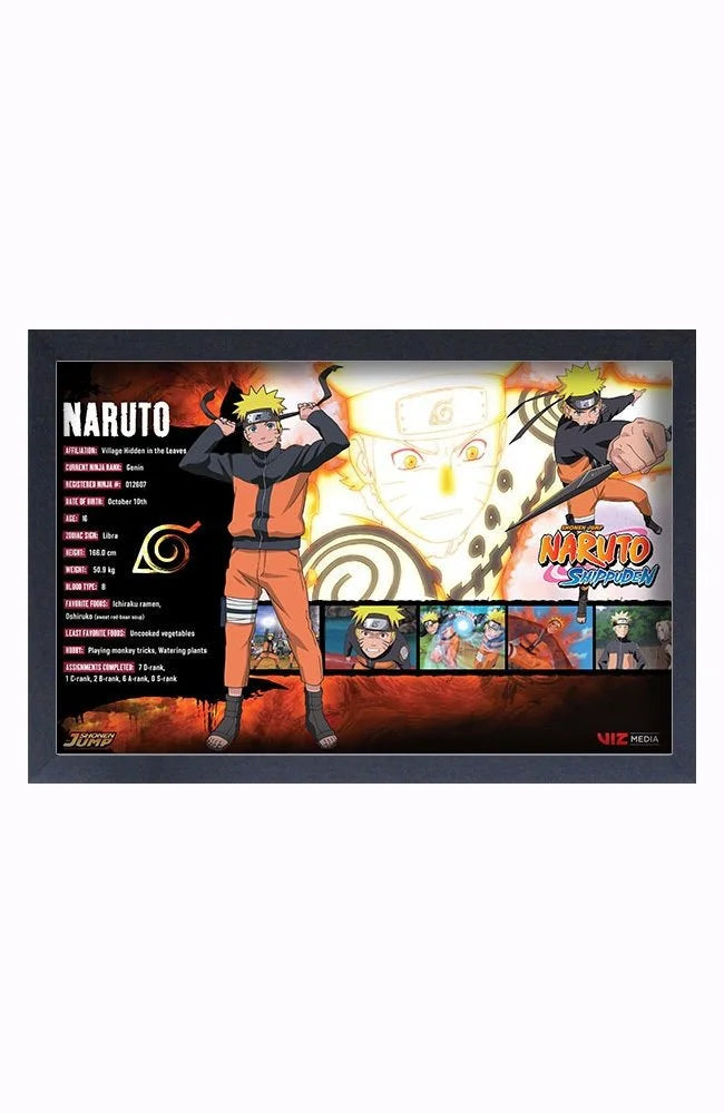 Naruto: Shippuden - Naruto Stats Wall Framed