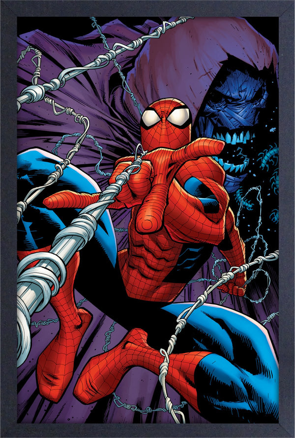 Marvel Comics : Spider-Man – Mur de fronde encadré