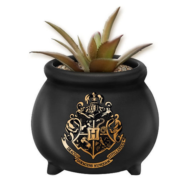 Harry Potter - Hogwarts Apothecary Crest Ceramic Planter