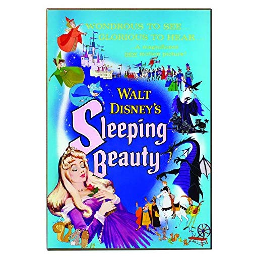 Disney: Sleeping Beauty - "Wondrous to See" Wall Art, Silver Buffalo