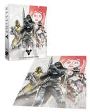Destiny Guardian Fireteam 1000 Piece Premium Puzzle - Kryptonite Character Store