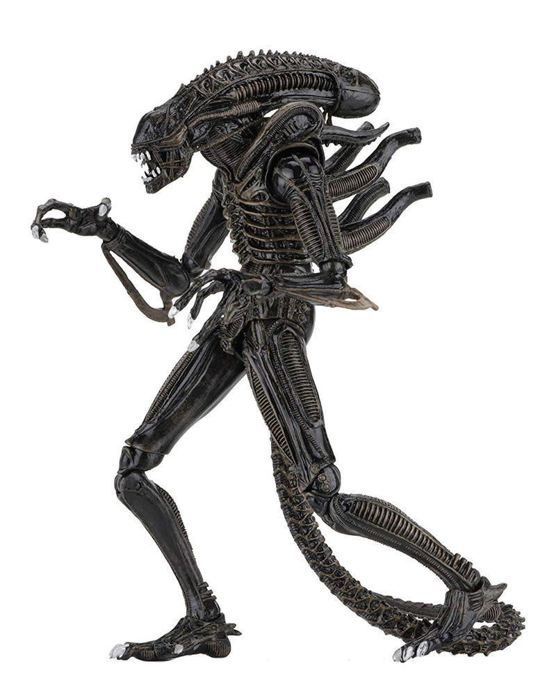 Alien - 7" Scale Action Figures - Ultimate Warrior (1986)