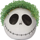 The Nightmare Before Christmas- Jack Skellington with Seed Pack Chia Pet