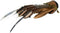 Nightmare on Elm Street 3 Freddy Krueger Glove Prop Replica - Kryptonite Character Store