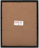 Marvel Comics: Spider-Man - Peter Parker and Miles Morales in Action Wood Wall Decor