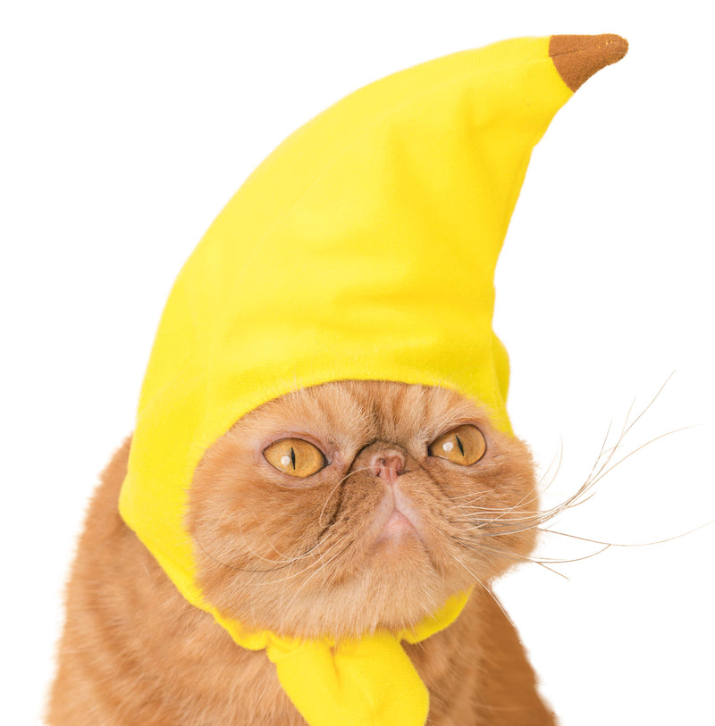 Load image into Gallery viewer, Clever Idiots Inc. Kitan Club: Fruit Cat Cap Blind Box

