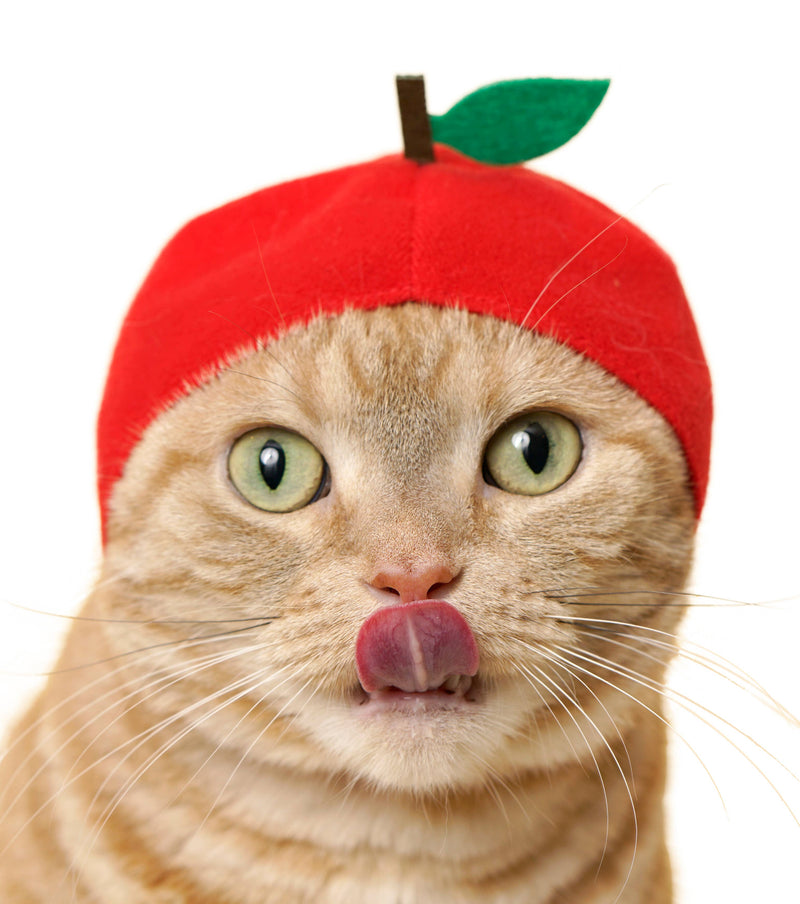 Load image into Gallery viewer, Clever Idiots Inc. Kitan Club: Fruit Cat Cap Blind Box
