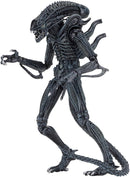 Aliens - Ultimate Alien (Blue) Warrior (1986) 7" Scale Action Figure