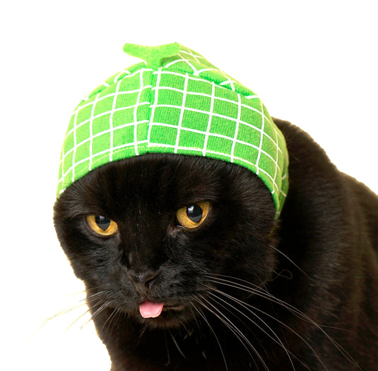 Clever Idiots Inc. Kitan Club: Fruit Cat Cap Blind Box