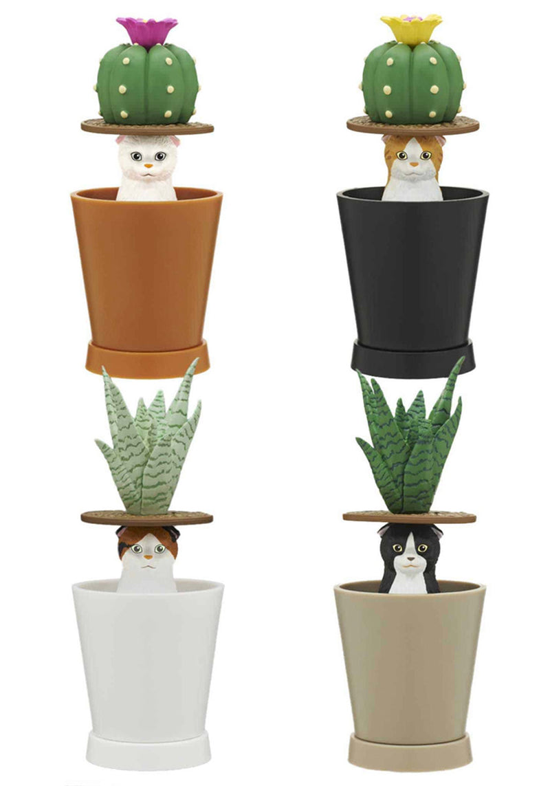 Cat - Peek Planter Blind Box