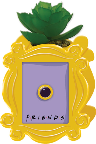 Friends - Frame Peephole Ceramic Planter