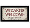 Harry Potter Wizards Welcome  Framed Gel coat MDF Wall Art - Kryptonite Character Store