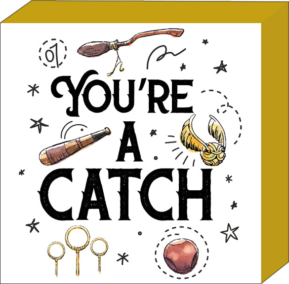 Harry Potter - Quite a Catch Quiditch 6" x 6" x 1.5" Box Wall Sign