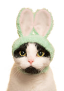 Kitan Club - Rabbit Cat Cap Blind Box