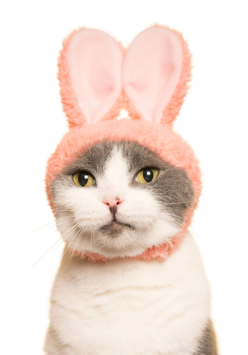 Kitan Club - Rabbit Cat Cap Blind Box