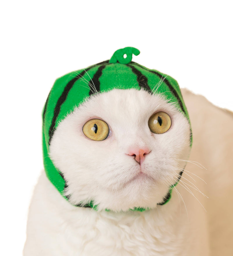Load image into Gallery viewer, Clever Idiots Inc. Kitan Club: Fruit Cat Cap Blind Box
