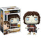 Funko Frodo Baggins (Chase Edition): Lord of The Rings Figure & 1 POP! Compatible PET Plastic Protector