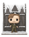 Funko POP! Deluxe: Harry Potter Hogsmeade - Remus Lupin with the Shrieking Shack