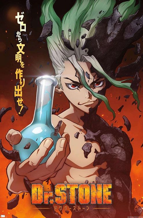 Dr Stone - Une feuille Poster