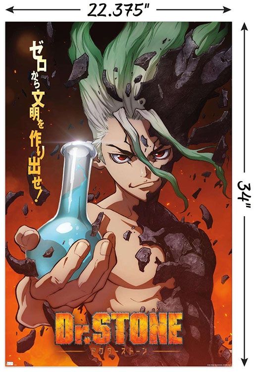 Dr. Stone - Una hoja Póster