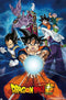 Dragon Ball Super - Groups Poster